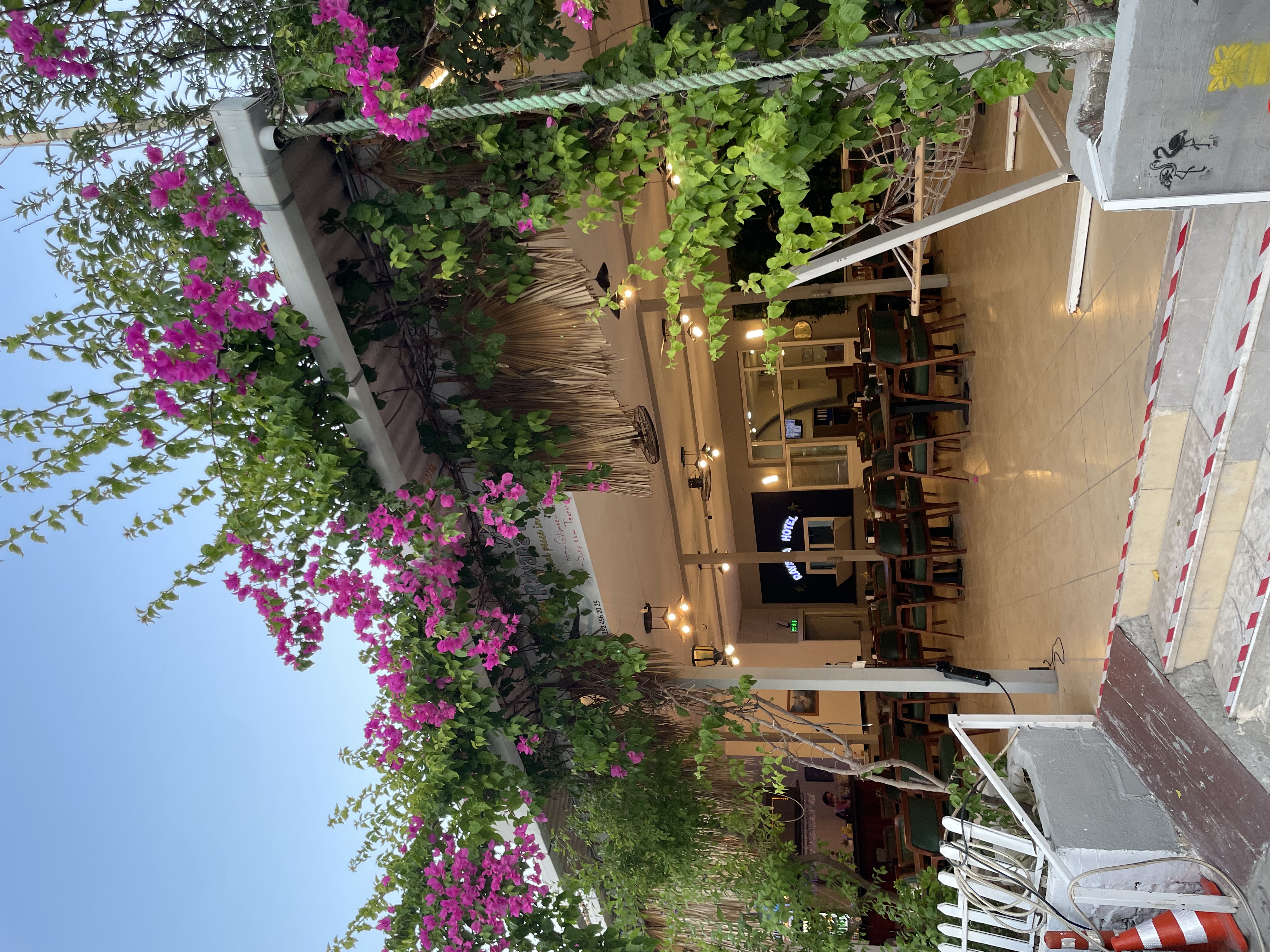 Rayana Hotel Mimarisi